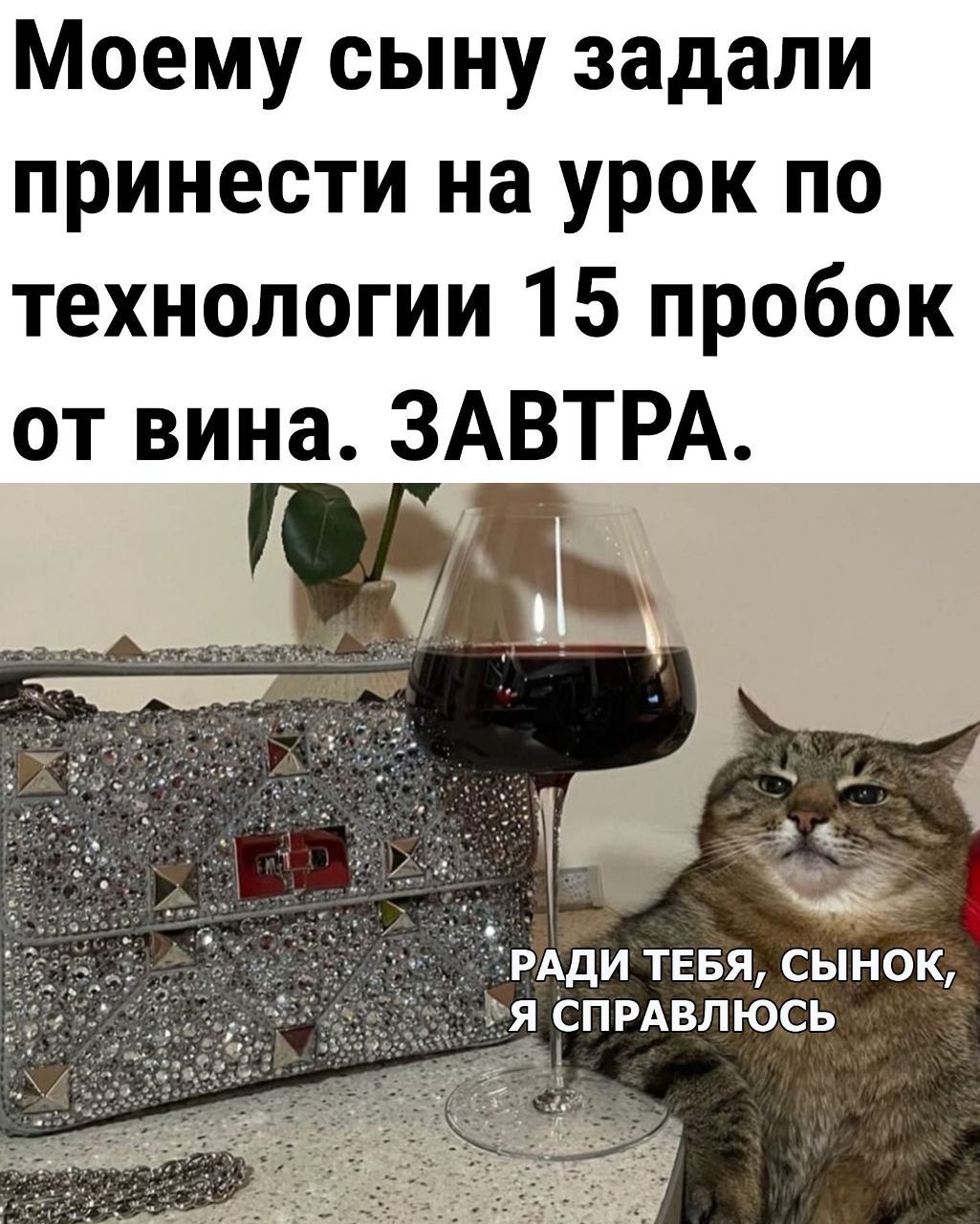 Моему сыну задали принести на урок по технологии 15 пробок от вина ЗАВТРА ДИ ТЕБЯ СЫНОК СПРАВЛЮСЬ