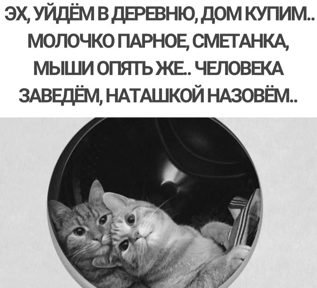 ЭХ УЙДЁМ В ДЕРЕВНЮ ДОМ КУПИМ МОЛОЧКО ПАРНОЕ СМЕТАНКА МЫШИ ОПЯТЬ ЖЕ ЧЕЛОВЕКА ЗАВЕДЁМ НАТАШКОЙ НАЗОВЁМ