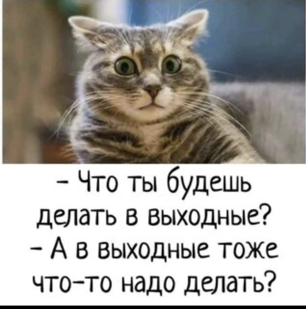 Что ты будешь делать в выходные А в выходные тоже что то надо делать