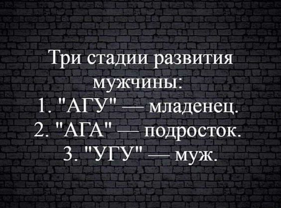 Три стадии развития мужчины 1 АГУ младенец 2 АГА подросток 3 УГУ муж