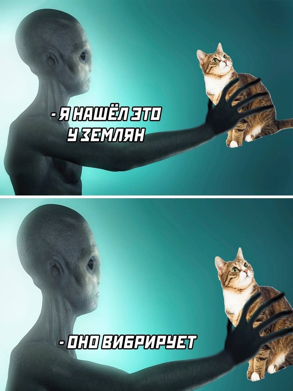 Яшппепя 9земпян швиенирет