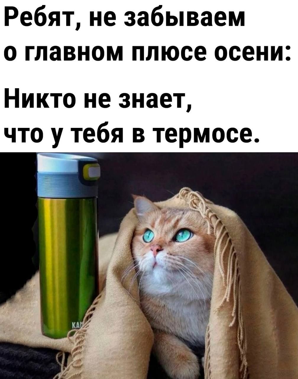 Ребят не забываем о главном плюсе осени Никто не знает что у тебя в термосе