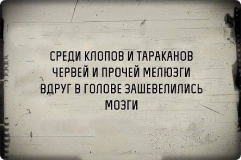 СРЕДИ КЛОПОВ И ТАРАКАНОВ ЧЕРВЕЙ И ПРОЧЕЙ МЕЛЮЗГИ ВДРУГ В ГОЛОВЕ ЗАШЕВЕЛИЛИСЬ МОЗГИ