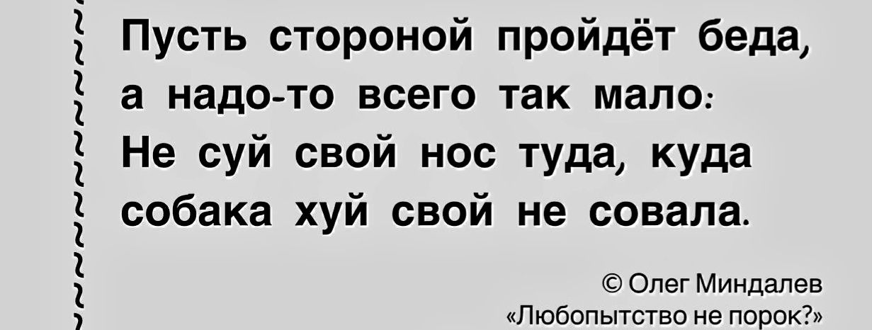 Пусть стороной пройдёт беда в надо то всего так мало Не суй свой нос туда кудд собака хуй свой не совапа Олег Минпапев пдюбипытстви не порок