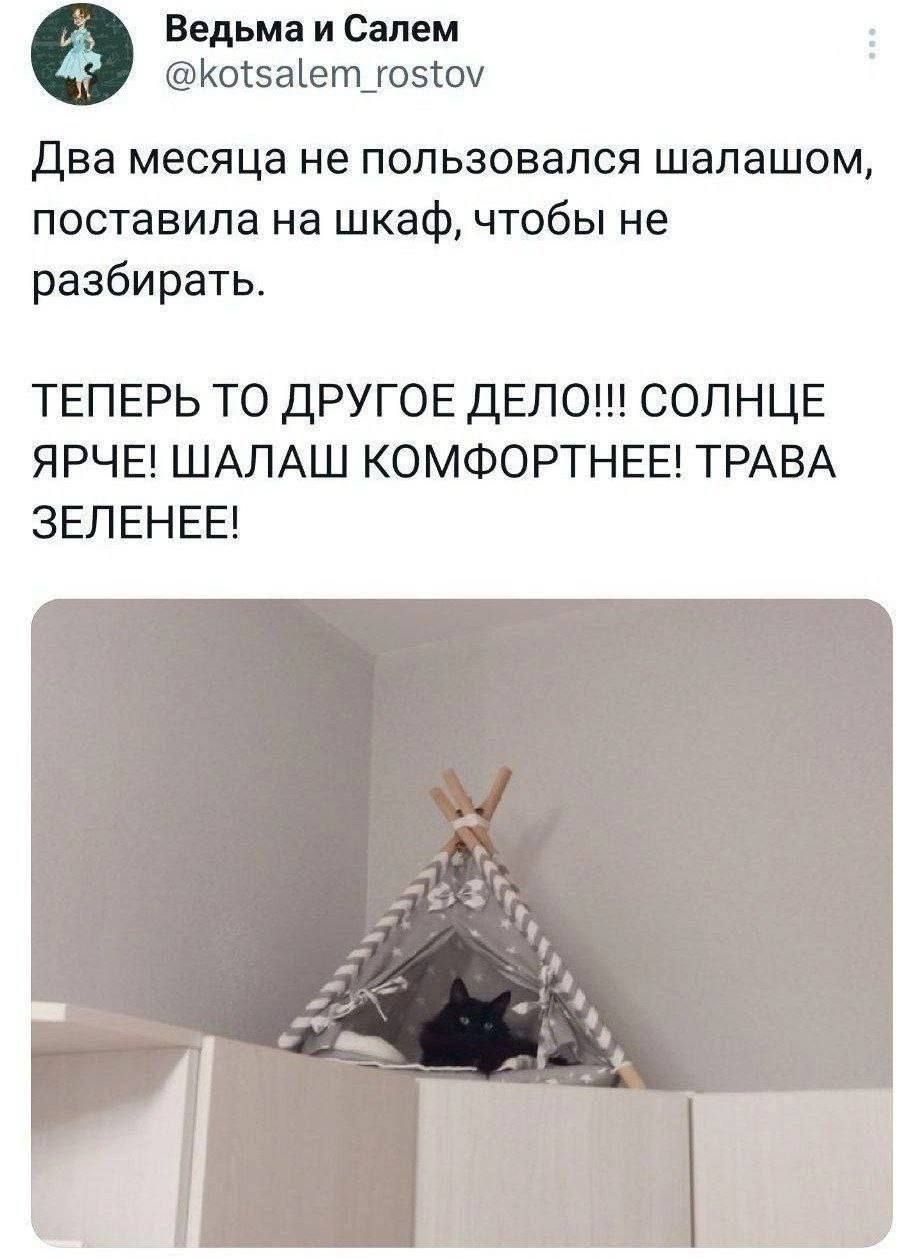 Ведьма и Салем Котза егпцоэюч два месяца не пользовался шалашом поставила на шкаф чтобы не разбирать ТЕПЕРЬ ТО ДРУГОЕ ДЕПО СОЛНЦЕ ЯРЧЕ ШАЛАШ КОМФОРТНЕЕ ТРАВА ЗЕЛЕНЕЕ