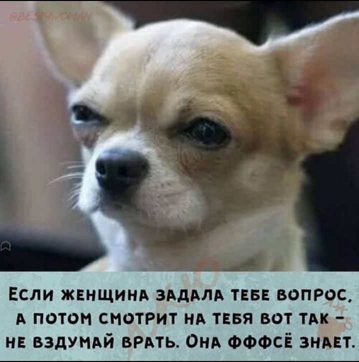 Если жвнщинд зддмд тввв вопрос А потоп смотрит нв тввя вот ТАК нв вздуидй вить ОНА ФФФСЁ знввт