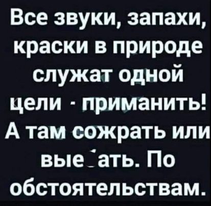 Все звуки запахи краски в природе служат одной цели приманить А там сожрать или вые ать По обстоятельствам