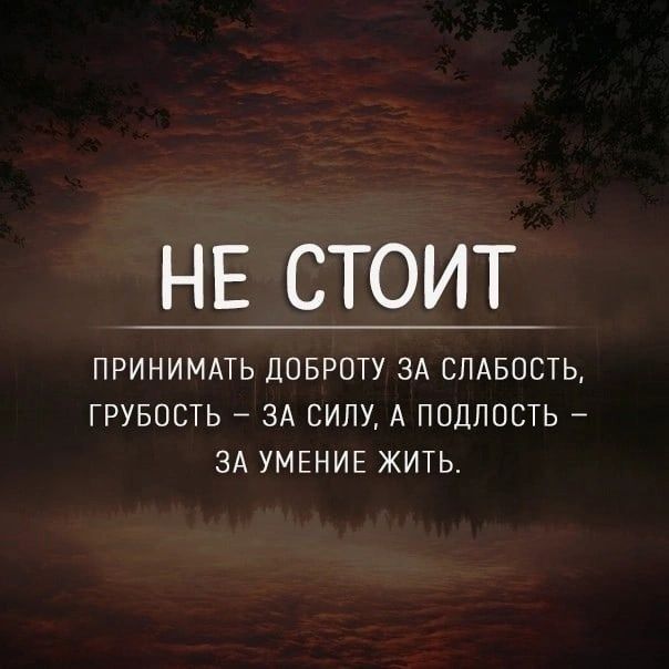 НЕ СТОИТ ПРИНИМАТЬ ДОБРОТУ ЗА СЛАБОСТЬ ГРУБОСТЬ ЗА СИЛУ А ПОДЛОСТЬ ЗА УМЕНИЕ ЖИТЬ