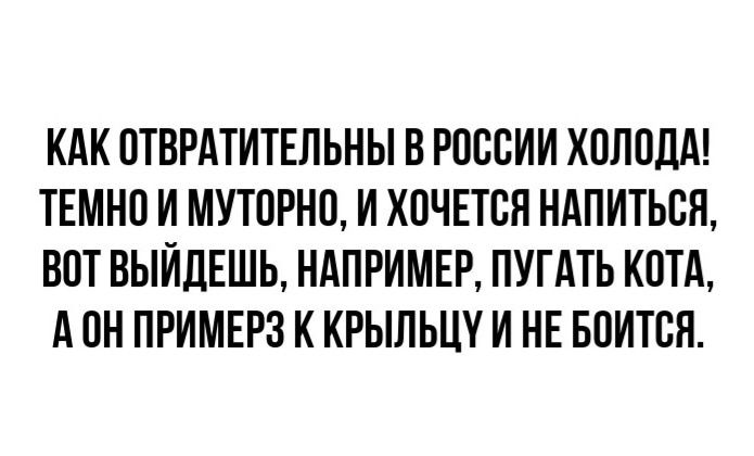 КАК ОТВРАТИТЕЛЬНЫ В РОССИИ ХОЛОДА ТЕМНО И МУТОРНО И ХОЧЕТСЯ НАПИТЬСЯ ВОТ ВЫЙДЕШЬ НАПРИМЕР ПУГАТЬ КОТА АОН ПРИМЕРЗ К КРЫЛЬЦУ И НЕ БОИТСЯ