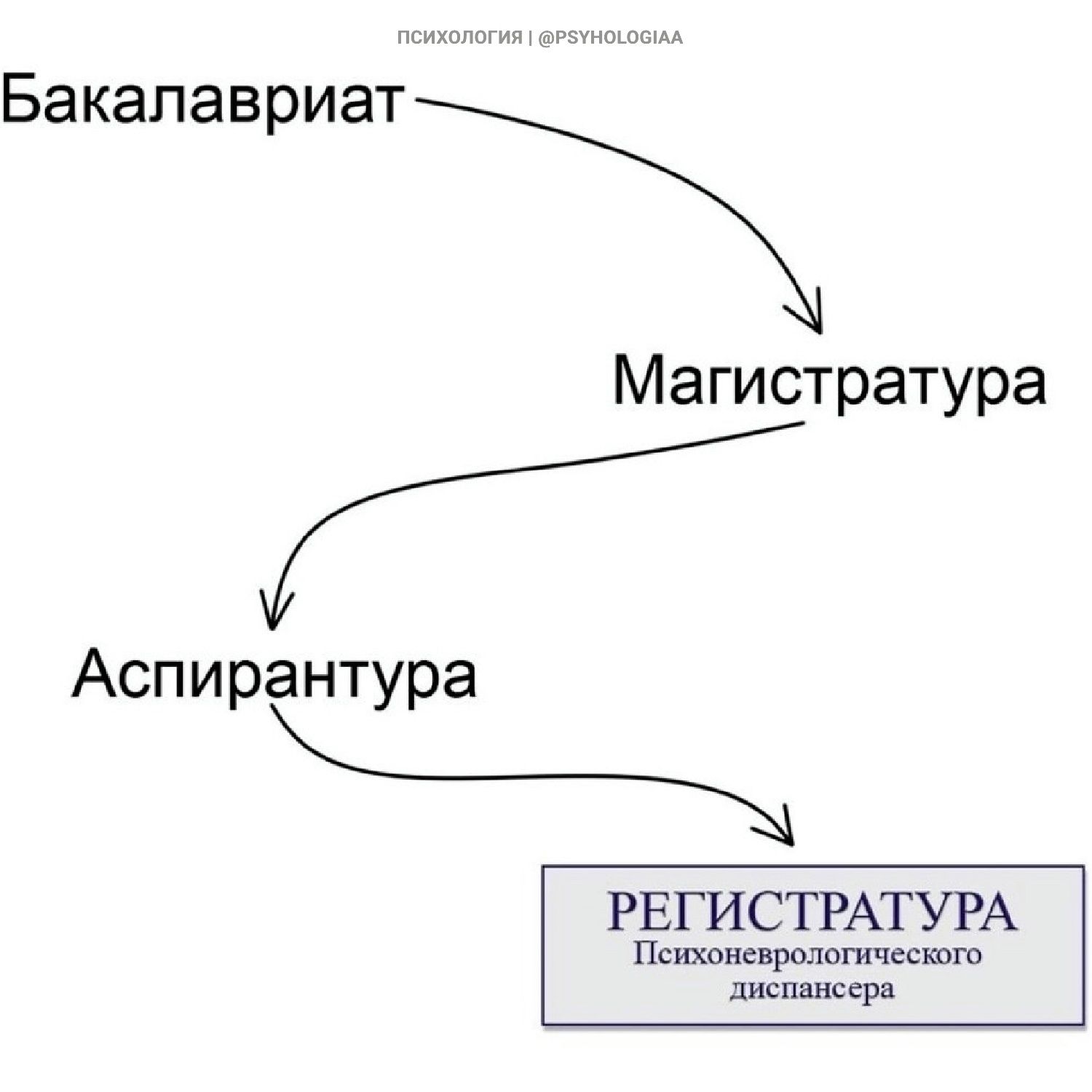 Бакалавриат Аспирантура Магистратура РЕГИСТРАТУРА Психоневродогического лиспансера