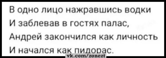 В одно лицо нажравшись водки И заблевав в гостях палас Андрей закончился как личность И начался как пилорас ВАМ ача