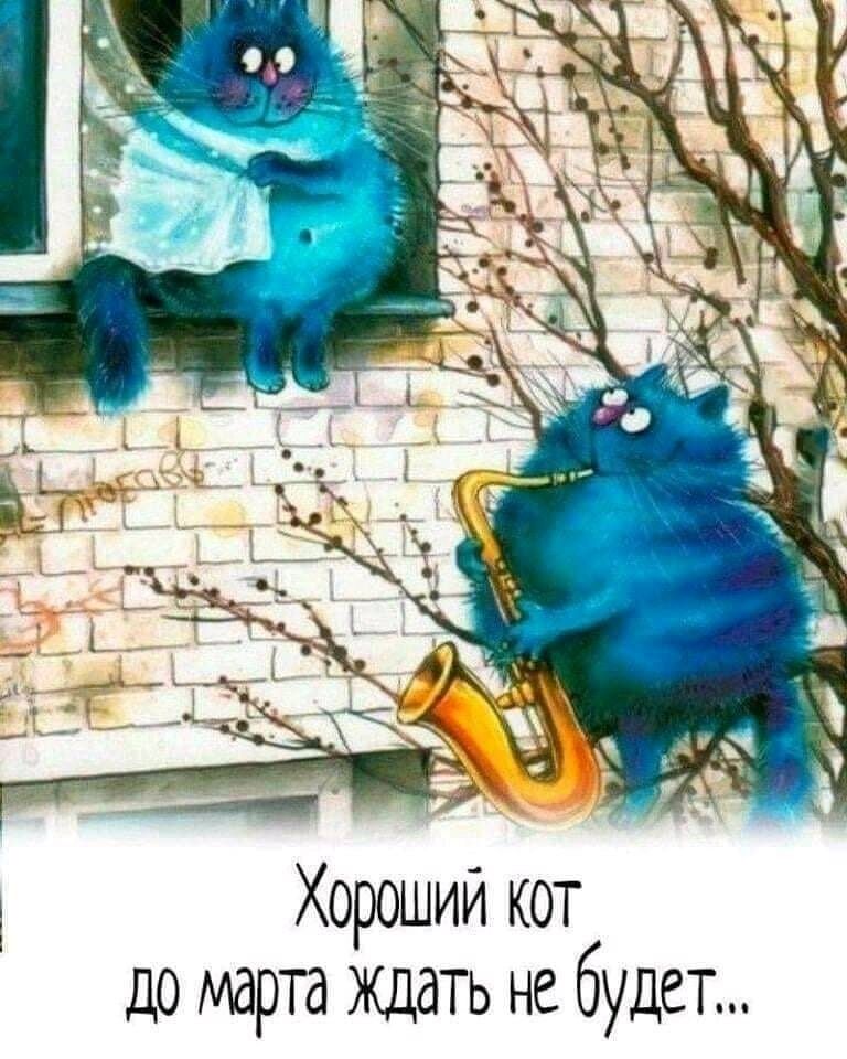 Хороший кот до марта Ждать ке будет