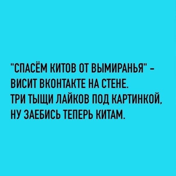 СПАСЁМ КИТОВ ОТ ВЫМИРАНЬЯ ВИСИТ ВКОНТАКТЕ НА СТЕНЕ ТРИ ТЫЩИ ЛАЙКОВ ПОД КАРТИНКОЙ НУ ЗАЕБИСЬ ТЕПЕРЬ КИТАМ