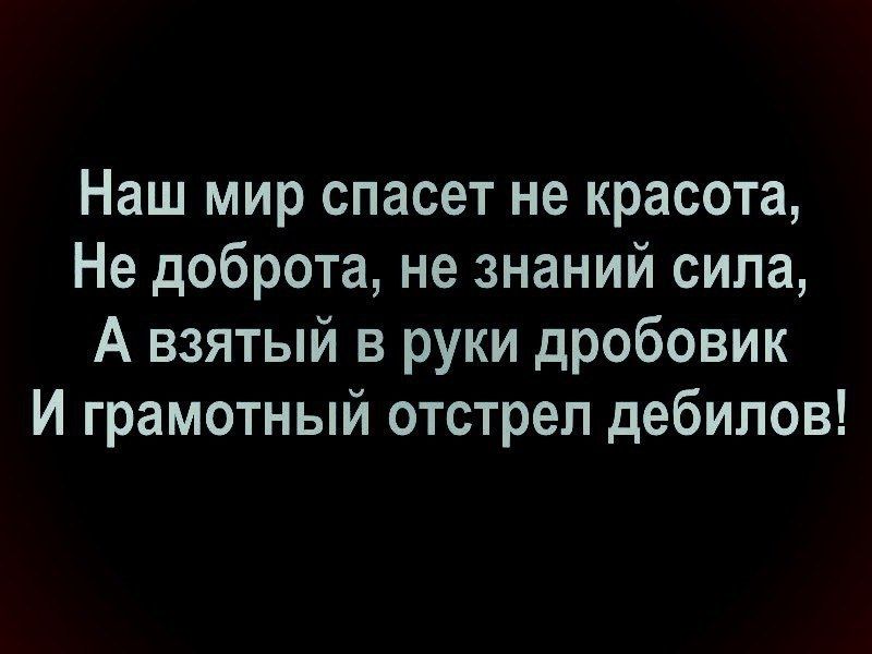 Наш мир спасет не красота Не доброта не знаний сила А взятый в руки дробовик И грамотный отстрел дебилов