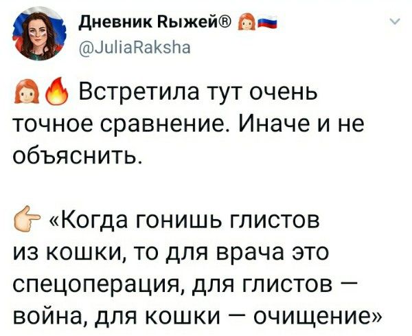 Дневник Выжей ш иПаВак5На Ё 6 Встретила тут очень точное сравнение Иначе и не объяснить Когда гонишь глистов из кошки то для врача это спецоперация для глистов война для кошки очищение