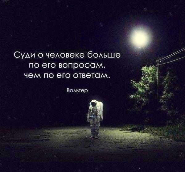 Суди о человеке больше по его вопросам от чем по его ответам т й Вольтер к р