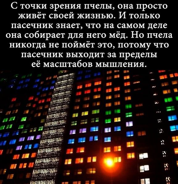 С точки зрения пчелы она просто живёт своей жизнью И только пасечник знает что на самом деле она собирает для него мёд Но пчела никогда не поймёт это потому что пасечник выходит за пределы её масштабов м