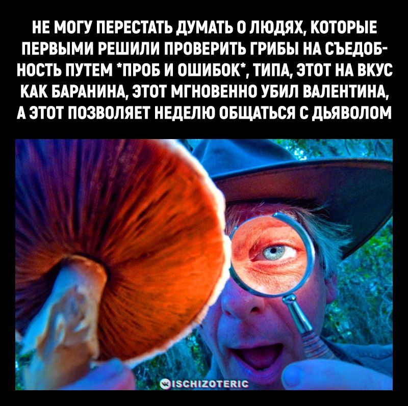 НЕ МОГУ ПЕРЕСТАТЬ ДУМАТЬ 0 ЛЮДЯХ КОТОРЫЕ ПЕРВЫМИ РЕШИЛИ ПРОВЕРИТЬ ГРИБЫ НА СЪЕДОБ НОСТЬ ПУТЕМ ПРОБ И ОШИБОК ТИПА ЭТОТ НА ВКУС КАК БАРАНИНА ЭТОТ МГНОВЕННО УБИЛ ВАЛЕНТИНА А ЭТОТ ПОЗВОЛЯЕТ НЕДЕЛЮ ОБЩАТЬСЯ С ДЬЯВОЛОМ иБениотЕмис