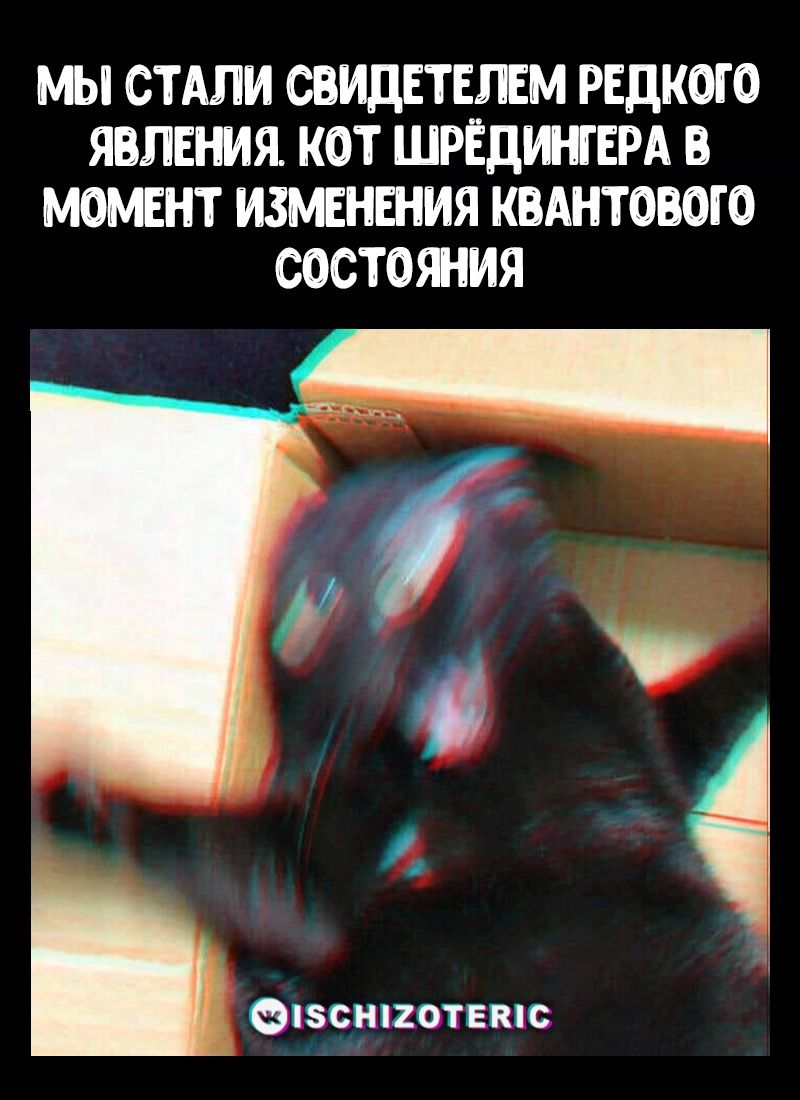 МЫ СТАЛИ СВИДЕТЕЛЕМ РЕДКОГО ЯВЛЕНИЯ КОТ ШРЁДИНГЕРА В МОМЕНТ ИЗМЕНЕНИЯ КВАНТОВОГО СОСТОЯНИЯ г 15СН12оОтЕВ1С