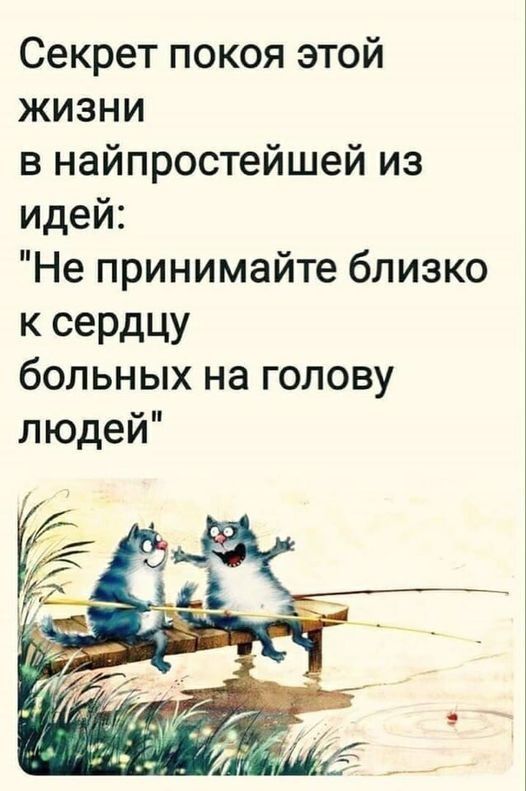 Секрет покоя этой ЖИЗНИ в найпростейшей из идей Не принимайте близко к сердцу больных на голову людей