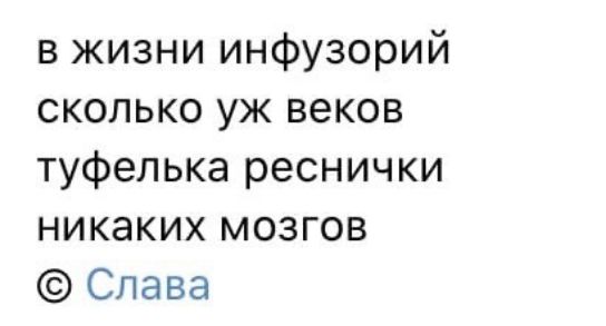 в жизни инфузорий сколько уж веков туфелька реснички никаких мозгов Слава