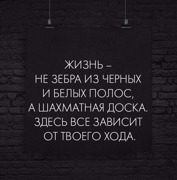 ЖИЗНЬ НЕ ЗЕБРА ИЗ ЧЕРНЫХ И БЕЛЫХ ПОЛСС А ШАХМАТНАЯ ДОСКА ЗДЕСЬ ВСЕ ЗАВИСИТ ОТТВОЕГО ХОДА