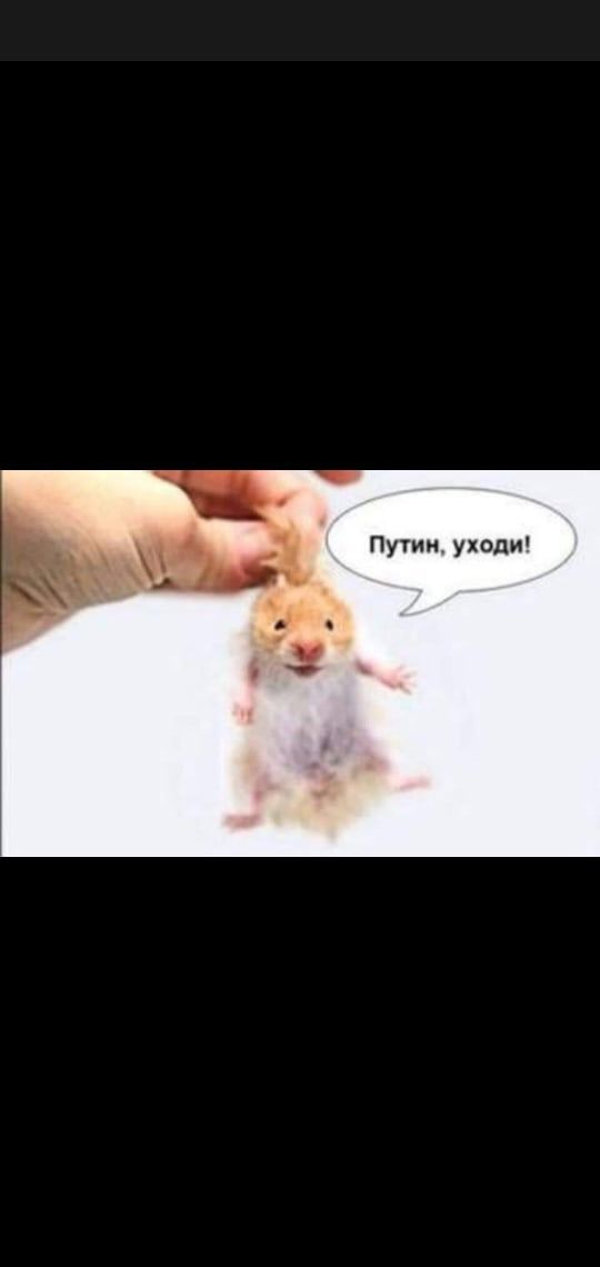 Путин уходи