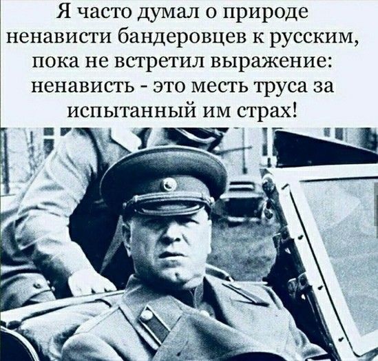 Я часто думал о природе ненависти бандеровцев к русским пока не встретил выражение ненависть это месть труса за испытанный им страх