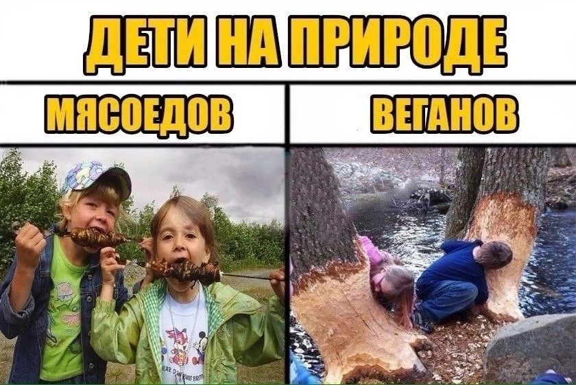 ДЕТИ НА ПРИРОДЕ
МЯСОЕДОВ
ВЕГАНОВ