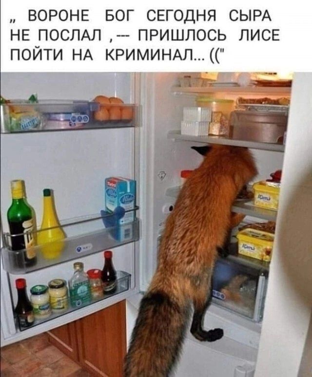 « ВОРОНЕ БОГ СЕГОДНЯ СЫРА НЕ ПОСЛАЛ, -- ПРИШЛОСЬ ЛИСЕ ПОЙТИ НА КРИМИНАЛ... ((