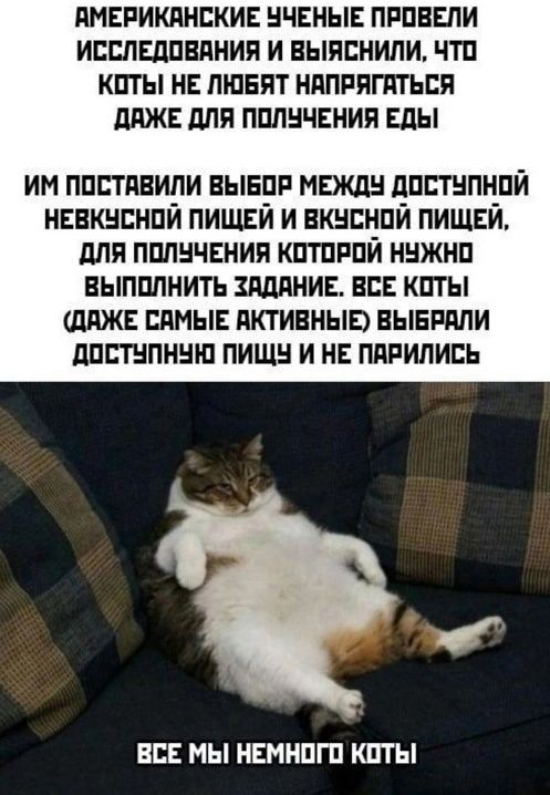 АМЕРИКАНСКИЕ УЧЕНЫЕ ПРОВЕЛИ ИССЛЕДОВАНИЯ И ВЫЯСНИЛИ, ЧТО КОТЫ НЕ ЛЮБЯТ НАПРИГАТЬСЯ ДАЖЕ ДЛЯ ПОЛУЧЕНИЯ ЕДЫ
ИМ ПОСТАВИЛИ ВЫБОР МЕЖДУ ДОСТУПНОЙ НЕКВУСНОЙ ПИЩЕЙ И ВКУСНОЙ ПИЩЕЙ, ДЛЯ ПОЛУЧЕНИЯ КОТОРОЙ НУЖНО ВЫПОЛНИТЬ ЗАДАНИЕ. ВСЕ КОТЫ (ДАЖЕ САМЫЕ АКТИВНЫЕ) ВЫБРАЛИ ДОСТУПНУЮ ПИЩУ И НЕ ПАРИЛИСЬ
ВСЕ МЫ НЕМНОГО КОТЫ