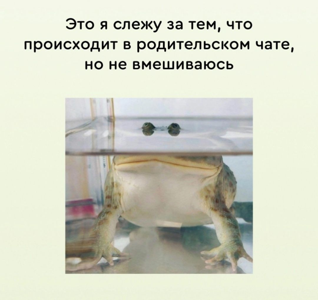 Это я слежу за тем, что происходит в родительском чате, но не вмешиваюсь