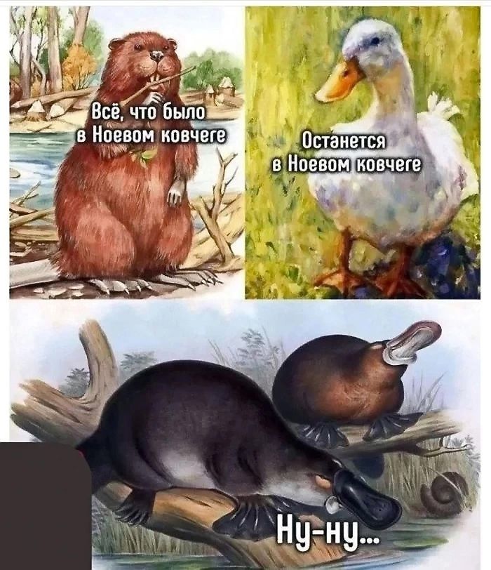 Всё, что было в Ноевом ковчеге
Останется в Ноевом ковчеге
Ну-ну...