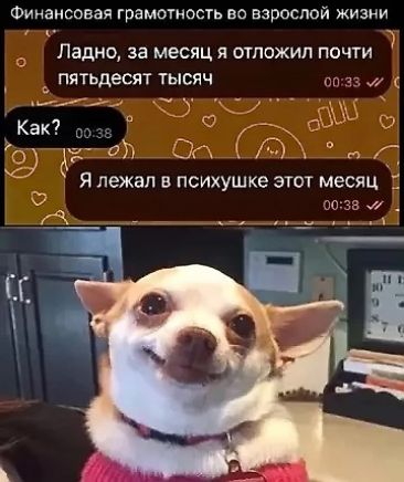 Ладно, за месяц я отложил почти пятьдесят тысяч. Как? Я лежал в психушке этот месяц.