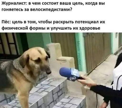 Журналист: в чем состоит ваша цель, когда вы гоняетесь за велосипедистами?
Пёс: цель в том, чтобы раскрыть потенциал их физической формы и улучшить их здоровье