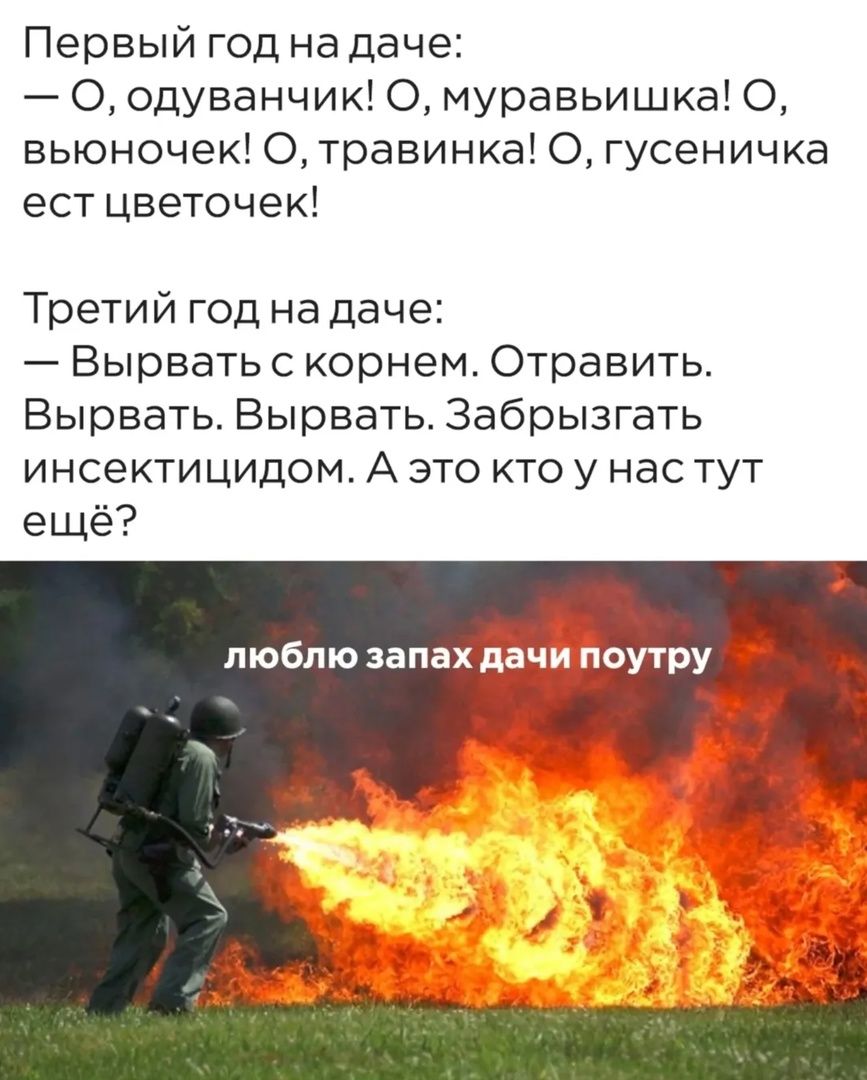 Первый год на даче: — О, одуванчик! О, муравейка! О, vyunochek! О, травинка! О, гусеничка есть цветочек!
Третий год на даче: — Выполоть с корнем. Отравить. Выполоть. Выполоть. Забрызгать инсектицидом. А это кто у нас тут еще?
люблю запах дачи поутру