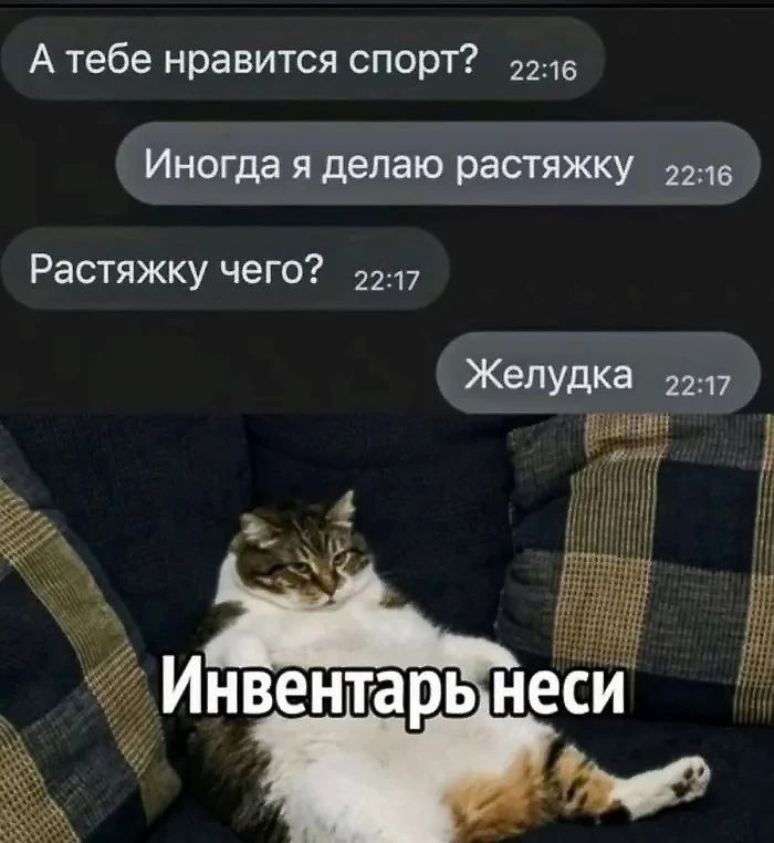А тебе нравится спорт? Иногд я делаю растяжку. Растяжку чего? Желудка. Инвентарь неси.