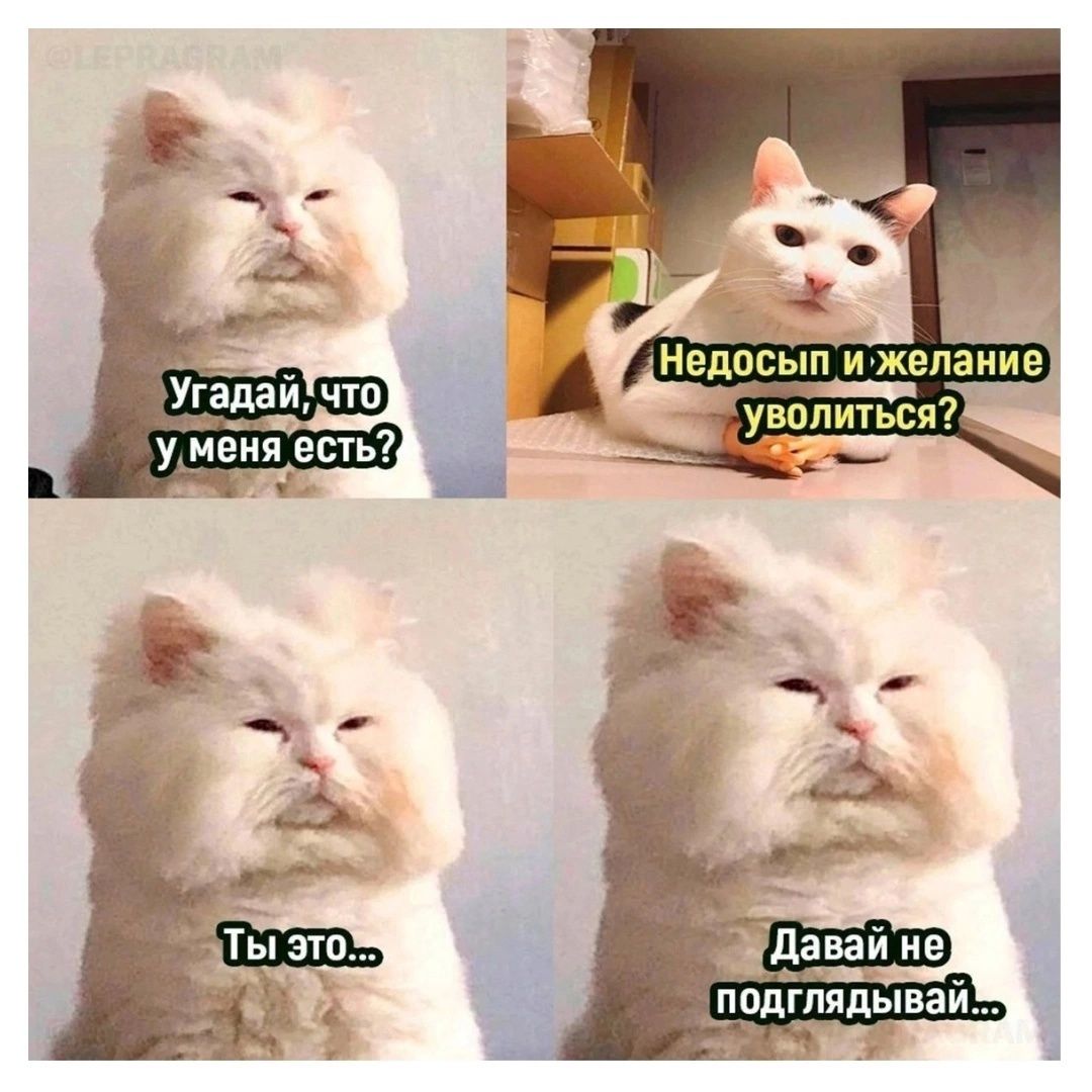 Угадай, что у меня есть?
Недосып и желание уволиться?
Ты это...
Давай не подглядывай...