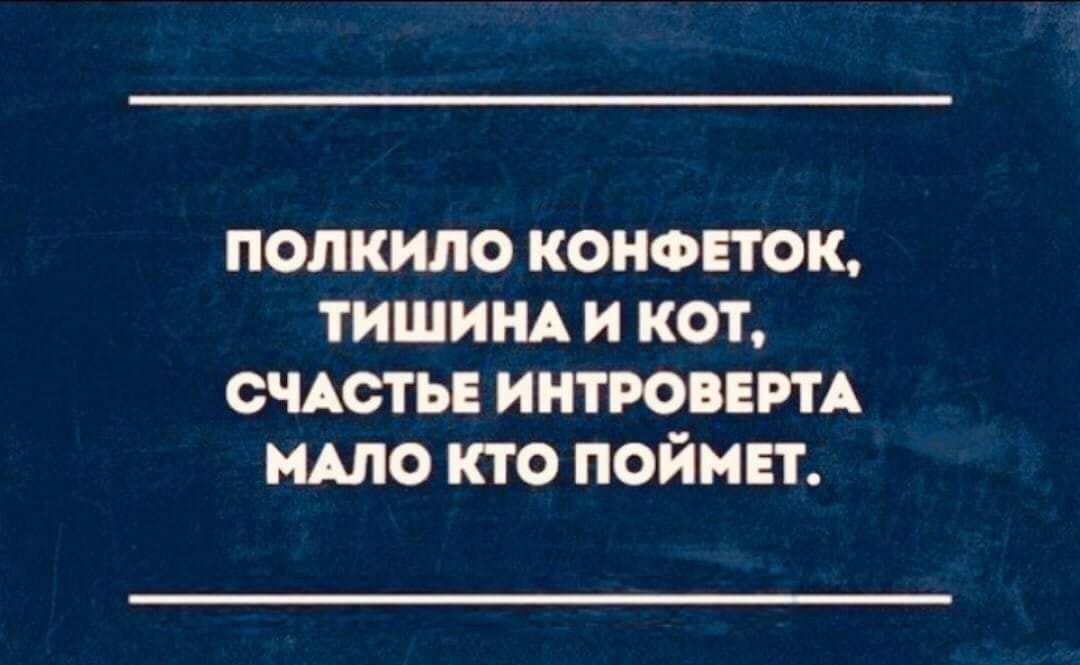 ПОЛКИЛО КОНФЕТОК, ТИШИНА И КОТ, СЧАСТЬЕ ИНТРОВЕРТА МАЛО КТО ПОЙМЕТ.