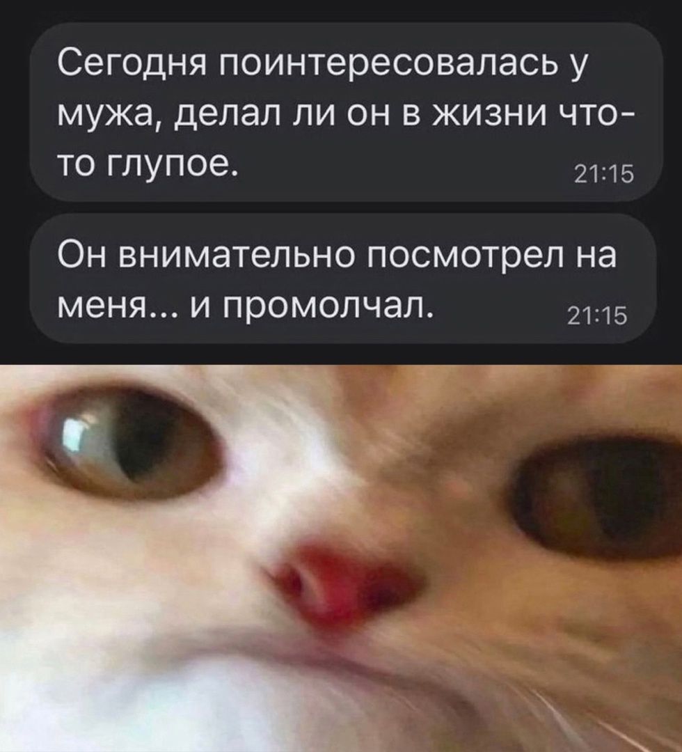 Сегодня поинтересовалась у мужа, делал ли он в жизни что-то глупое.
Он внимательно посмотрел на меня... и промолчал.