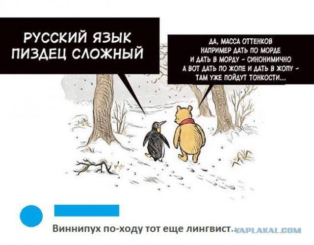 Русский язык пиздец сложный

Да, масса оттенков, например, дать по морале и дать в мораль — синонимично, а вот дать по шопе и дать в жопу — там уже подойдут тонкости...

Виннипух по ходу тот еще лингвист.