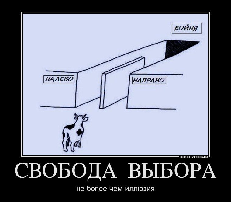 СВОБОДА ВЫБОРА
не более чем иллюзия