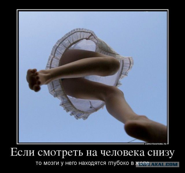 Если смотреть на человека снизу то мозги у него находятся глубоко в жопе