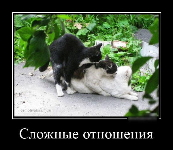 Сложные отношения