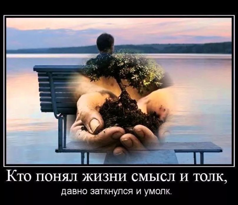 Кто понял жизни смысл и толк,
давно заткнулся и умолк.