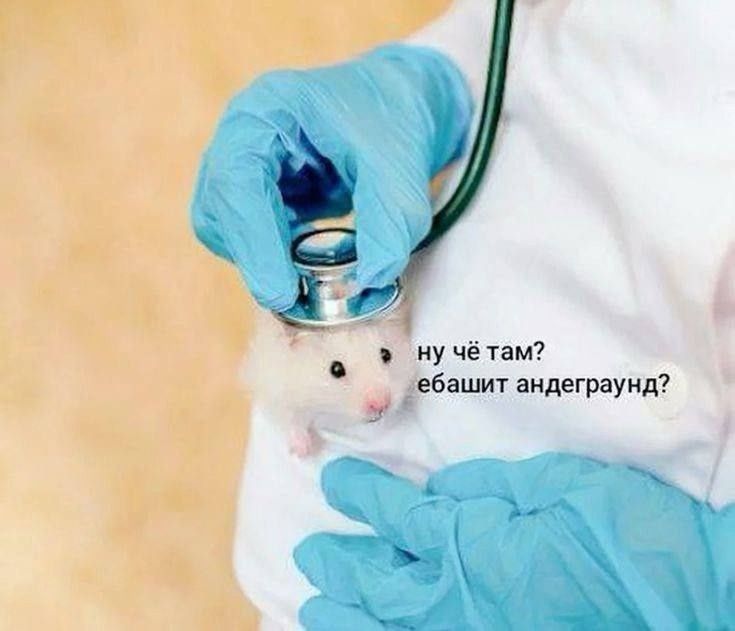 ну чё там? ебашит андеграунд?