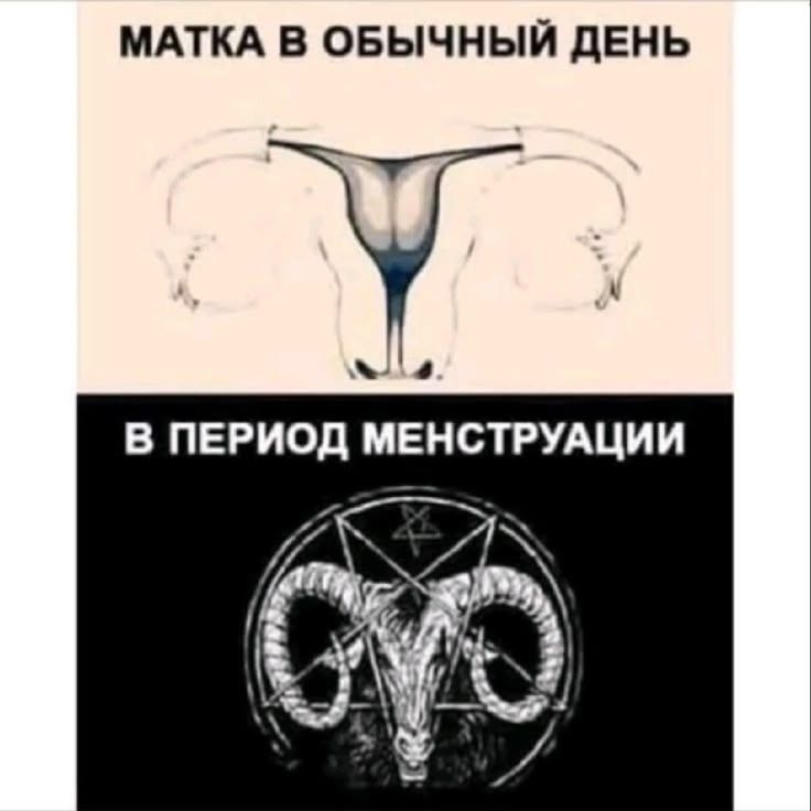 МАТКА В ОБЫЧНЫЙ ДЕНЬ
В ПЕРИОД МЕНСТРУАЦИИ