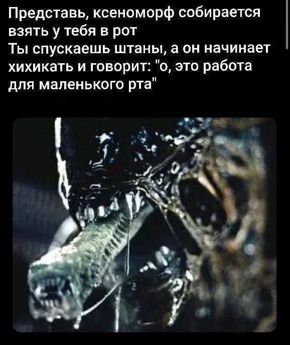 Представь, ксеноморф собирается взять у тебя в рот Ты спускаешь штаны, а он начинает хихикать и говорит: 