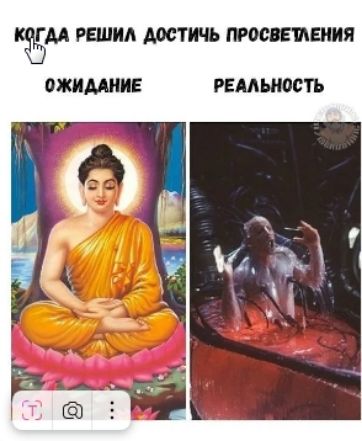 когда решил достичь просветления ОЖИДАНИЕ РЕАЛЬНОСТЬ