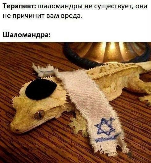 Терапевт: шаломандры не существуют, она не причинит вам вреда.
Шаломандра: